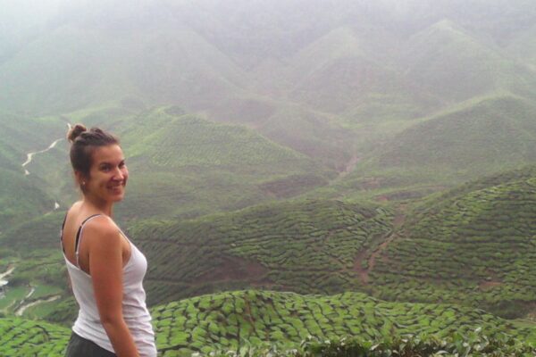 Malajzia, CameronHighlands